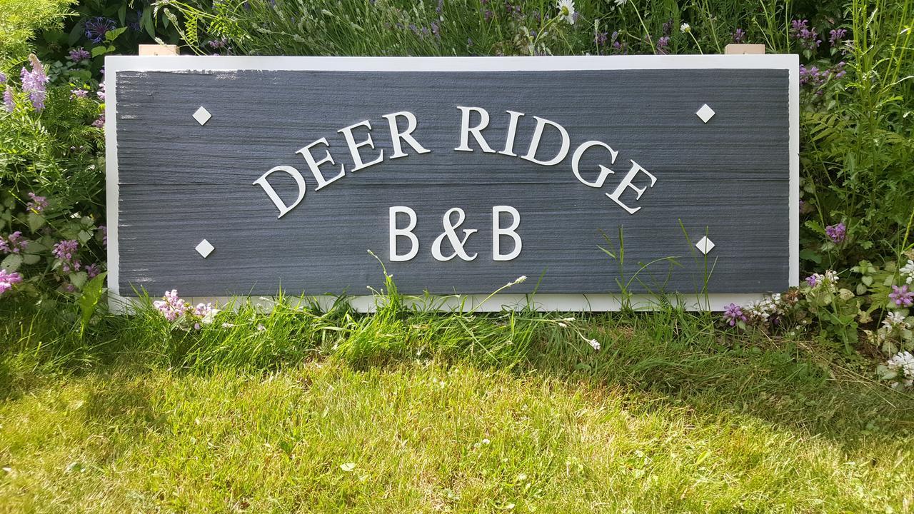 Deer Ridge B&B Golden Exteriér fotografie
